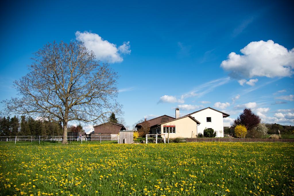 Hof-Tschannen Lengwil Exteriör bild